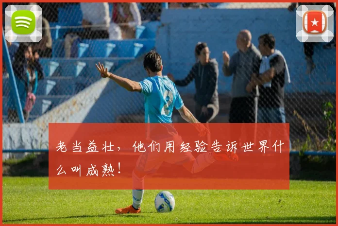 老当益壮,他们用经验告诉世界什么叫成熟!