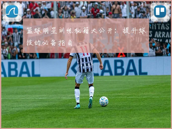 篮球明星训练秘籍大公开：提升球技的必备指南