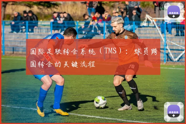 国际足联转会系统(TMS):球员跨国转会的关键流程