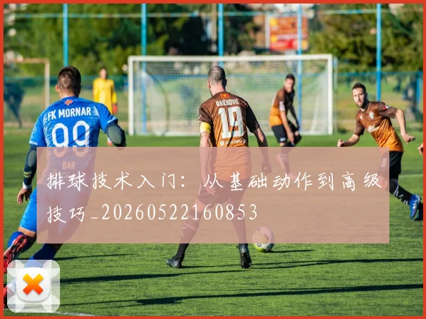 排球技术入门：从基础动作到高级技巧_20260522160853