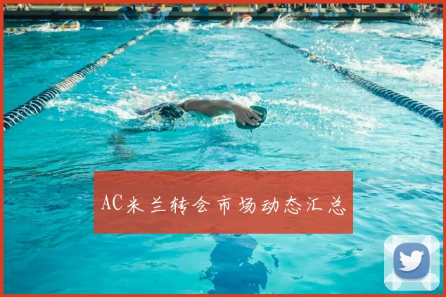 AC米兰转会市场动态汇总